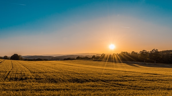 Agricultural Acreage